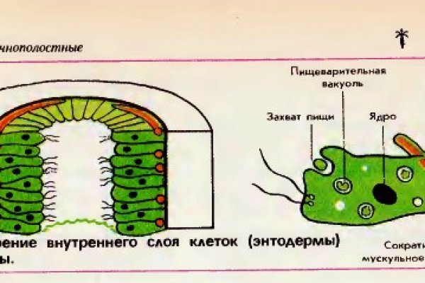 Кракен в россии наркотик